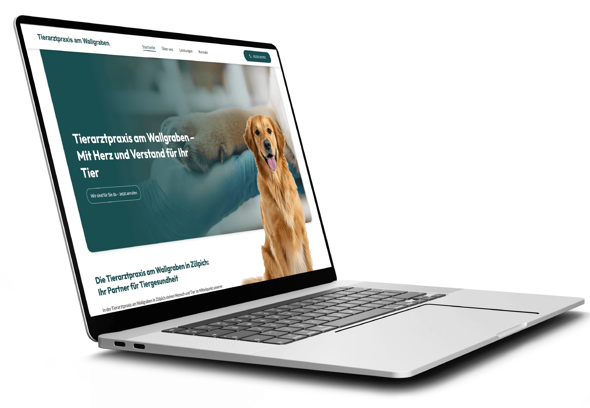 Beispiel einer Webseite von der Online Marketing Agentur Köln